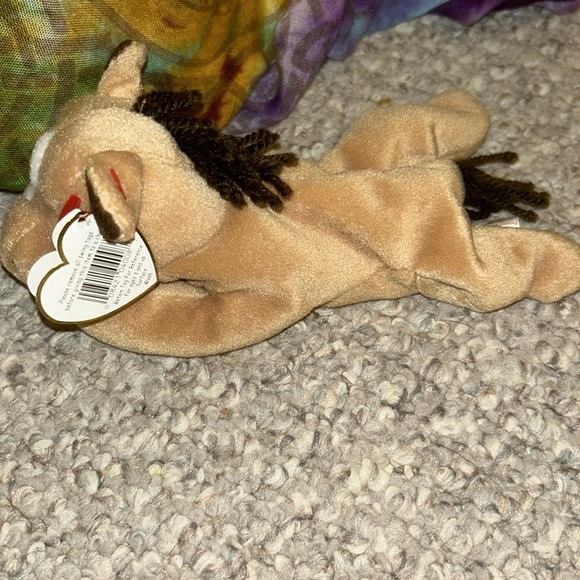 Meet derby the beanie baby - Picture 2 of 3